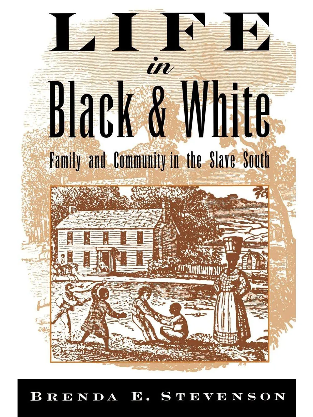 Life in Black and White: Family and Community in the Slave South