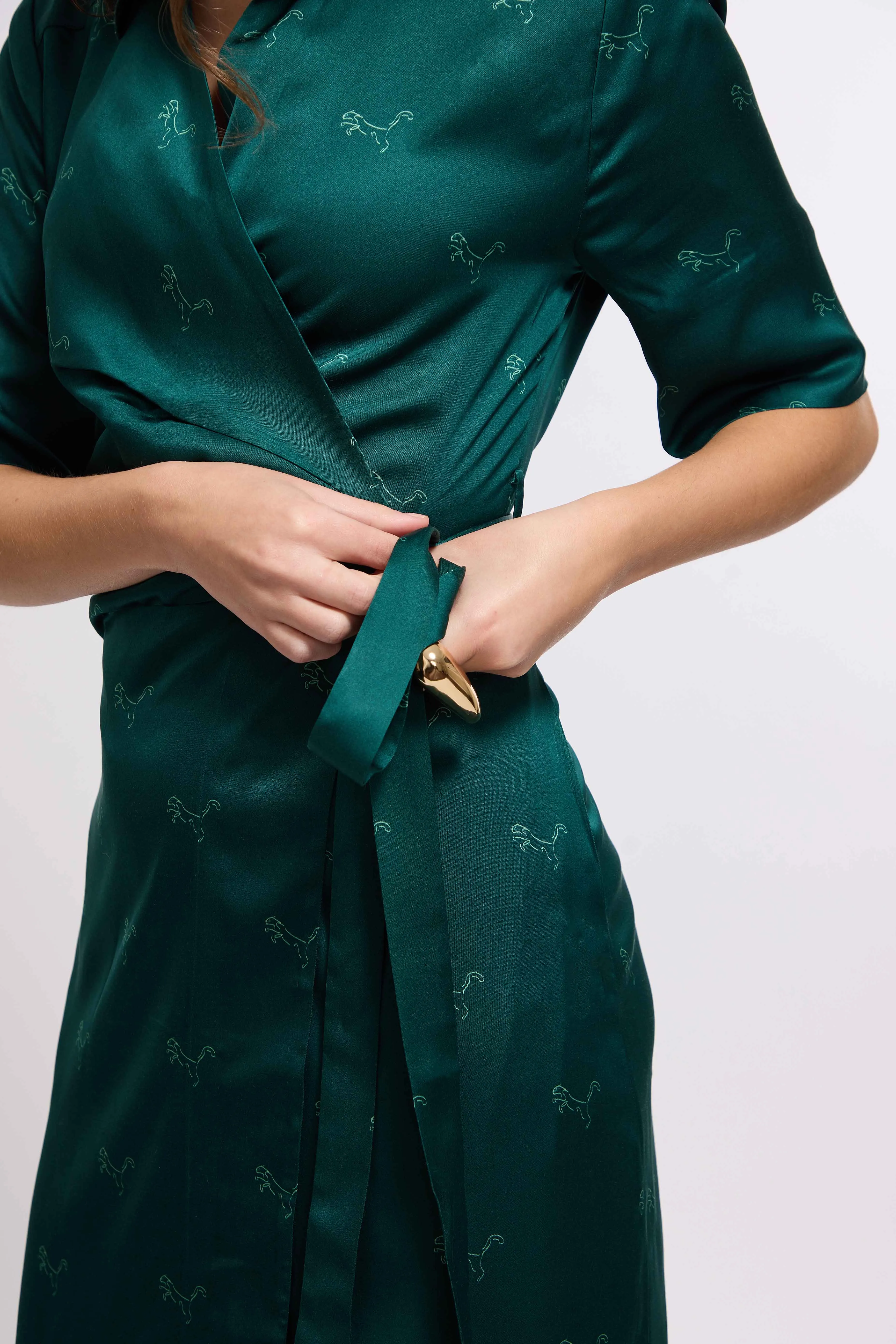 Zoya Wrap Dress (Green)